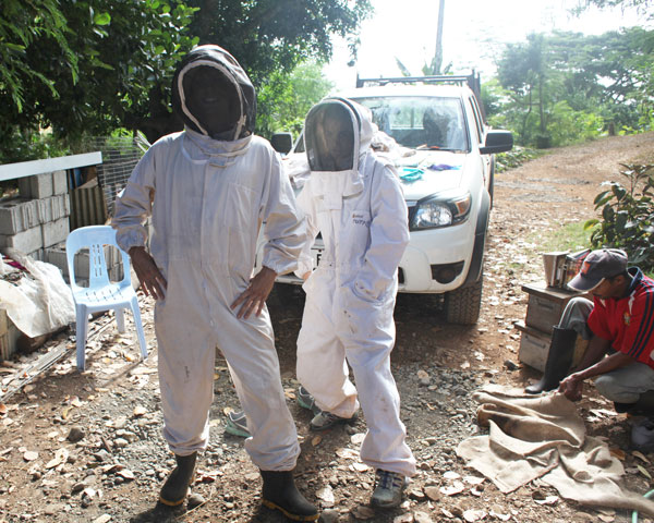On Beekeeping