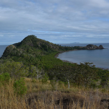 How to Make Coconut Oil: Fiji Style