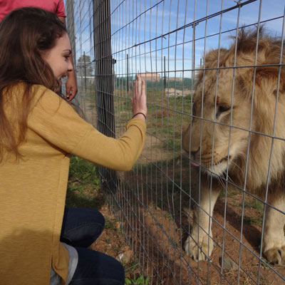 Tales from Abroad: South Africa