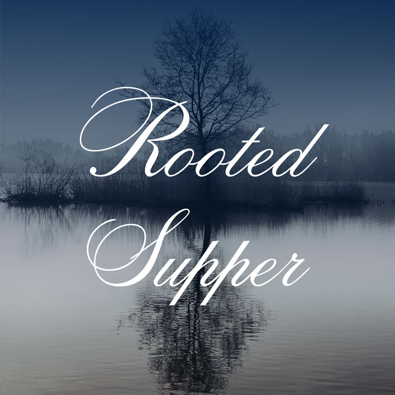 Photo of tree on a lake with exposed roots.